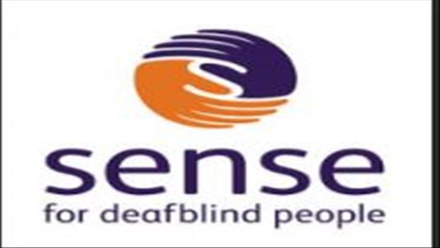 320 Sense 2