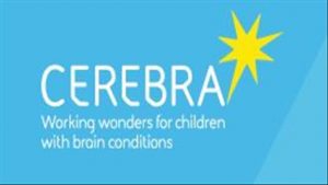 358 Cerebra 2 300x169