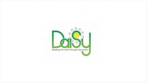512 Daisy 9 300x169