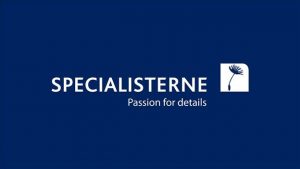 555 Specialisterne NI 1 300x169