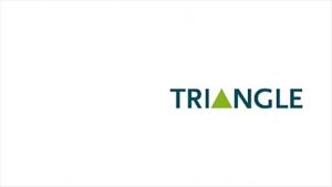 612 Triangle Housing 1 300x169