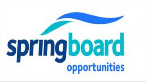 751 Springboard opportunities 500x281