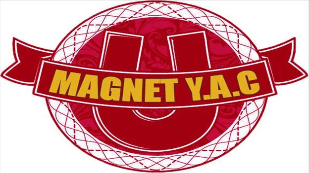 771 Magnet YAC