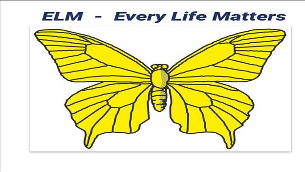 775 ELM Every Life Matters