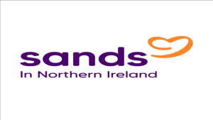 856 SANDS Northern Ireland 1 300x169