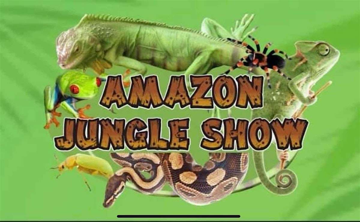 Meet the Amazon Jungle Creatures at Whiterock Library Family Fun Day
