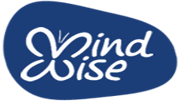 498 Mindwise 3
