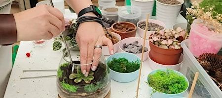 Closed Terrarium Workshop - 17/10/2026